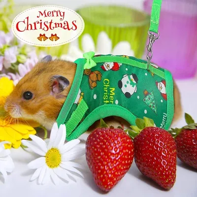 Weihnachten Kaninchen Weste Abschlepp seil rot/grün kleines Haustier Tier geschirr Leine Set Flucht Image
