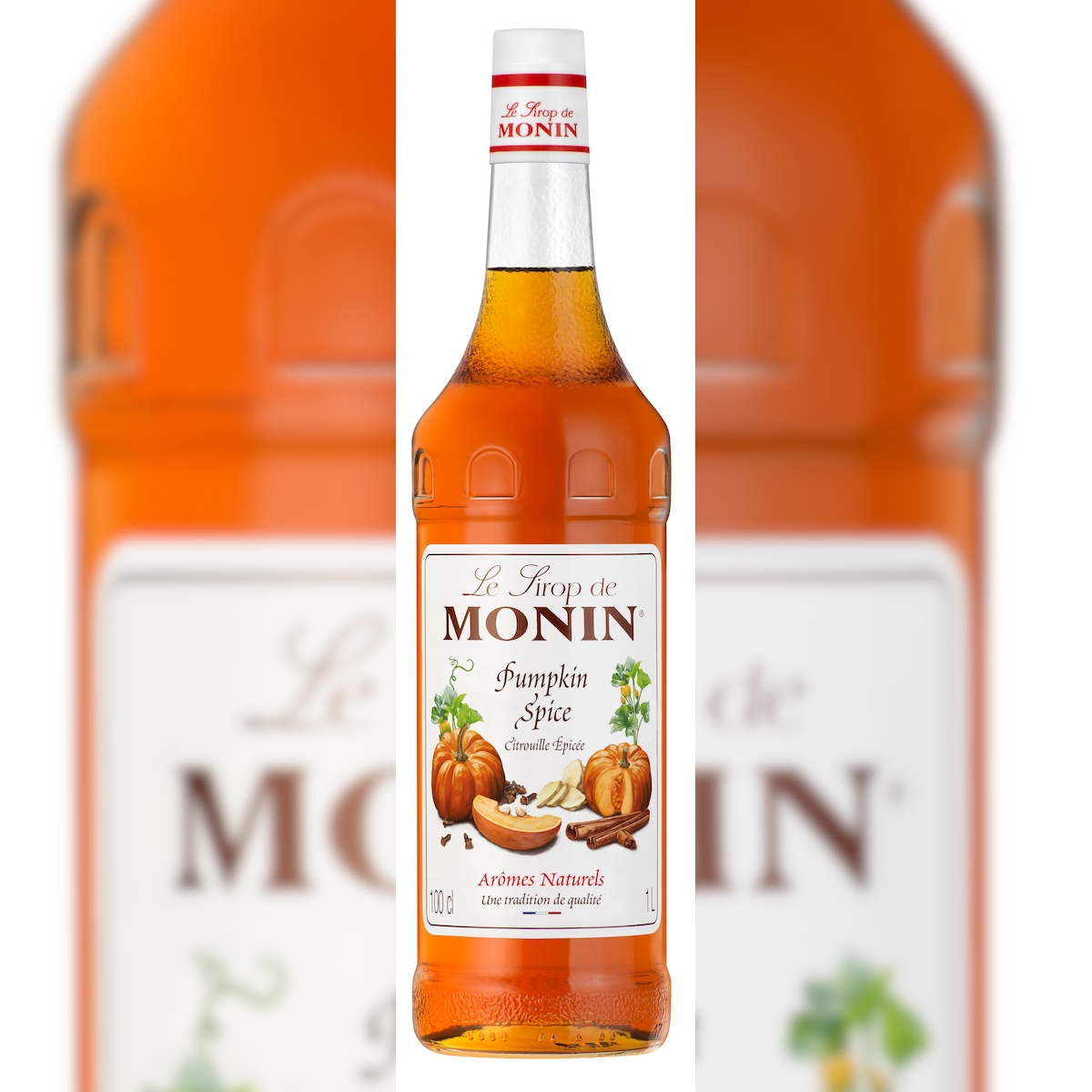 Monin Sirup Pumpkin Spice (1L) Image