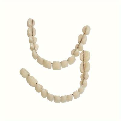 TEMU 1 Set Dentures, And Plastic , Teaching , No , Accessories, Weight ≤ 300g