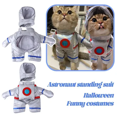 Pet+Costumes