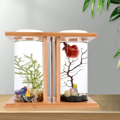 Creative Bamboo and Wood Ecological Fish Tank Dual Glass Desktop Mini DIY Goldfish TankAquarium