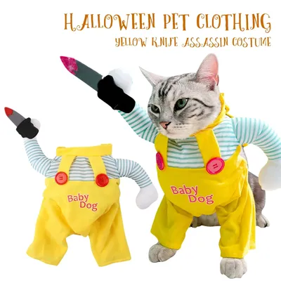 Pet+Costumes