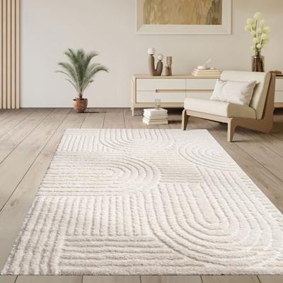 Hochflor Teppich Wohnzimmer Shaggy Skandinavisch Boho Einfarbig Regenbogen Creme 80x150 cm - Paco