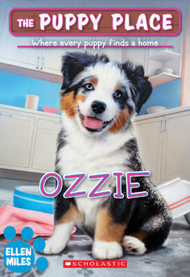 The Puppy Place #70: Ozzie (paperback) - by Ellen Miles
