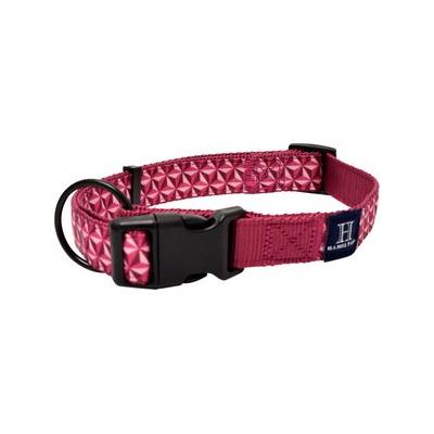 Hamilton A Day Together Ribbon Overlay Nylon Standard Dog Collar, Raspberry Star, Small/Medium: 12 to 18-in neck, 5/8-in wide
