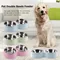 Doppel Pet Bowls Hundefutter Wasser Feeder Edelstahl Haustier Trinkschale Feeder Katze Welpen Fütterung Liefert Kleine Hund Zubehör