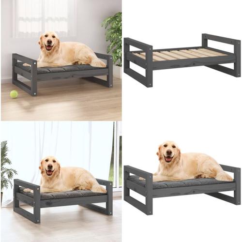 Hundebett Grau 75,5x55,5x28 cm Massivholz Kiefer - Hundebett - Hundebetten - Home & Living - Grau