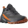 Wanderschuh SALOMON "CROSS OVER 2 GORE-TEX", Gr. 41, grau (phantom), Synthetik, Textil, sportlich, Schuhe, wasserdicht