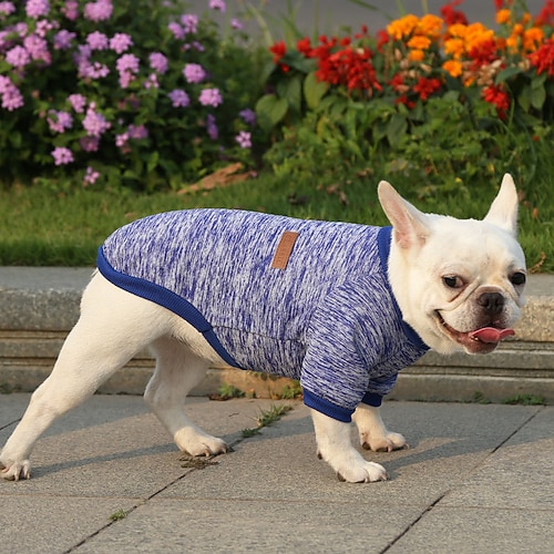 Hund Katze Sweatshirt Overall Freizeit Lässig / Sportlich Warm Weich Waschbar Mode Bequem Neujahr Erntedankfest Internationales Bierfest Outdoor Urlaub Neujahr Alltagskleidung Sport im Freien Image