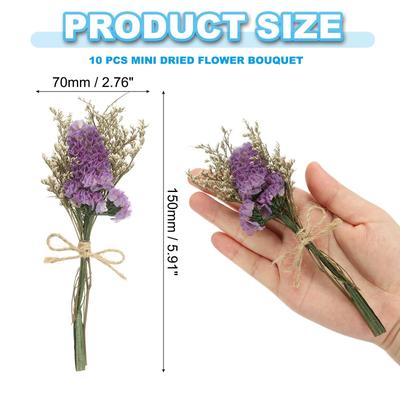 10 Pcs Mini Forget-me-not Dried Flower Bouquet Baby's Breath Boho