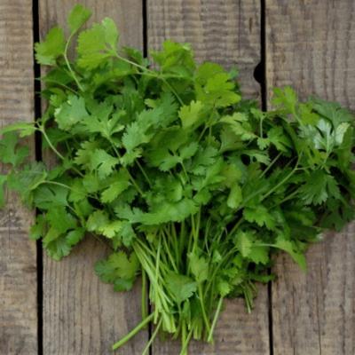 TEMU Coriander , Traditional /chinese Coriander ( )