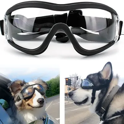 Hund Sonnenbrille Hunde brille verstellbarer Gurt für Reisen Skifahren und Anti-Fog Hund Schnee Image