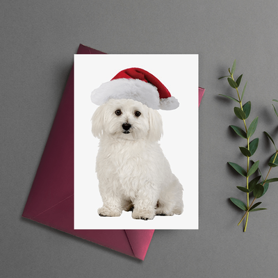 TEMU 5-pack Christmas Greeting Cards With White Dog In Santa Hat Design, Perfect For Holiday Gifting To Family And