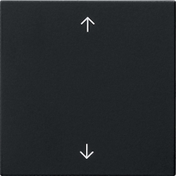 Gira Wippe 1-fach 5389005 Image