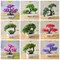 Artificial Pine Tree Bonsai Home Garden Decoration - Fake Plants Bonsai Desktop Ornaments