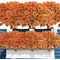 72 Bundles Artificial Fall Flowers for Outdoors UV Resistant No Fade for Outside Home Garden Wedding