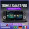 Trimui Smart Pro 4.96''IPS Screen Handheld Game Console RGB Lighting Smartpro Retro Video Game Linux