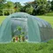 Greenhouse Large Outdoor Greenhouse Tunnel Sturdy Walk-in Greenhouse with PE Cover Metal Frame