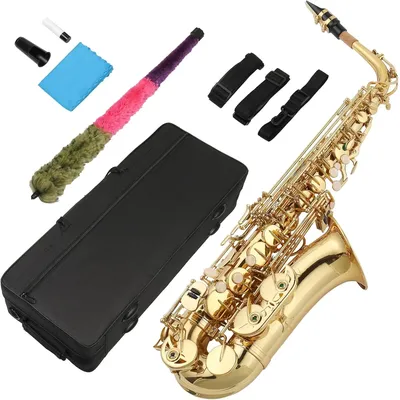 Alto Saxophone Drop E Flat Brass Sax Beginner Sax Full Kit with Mouthpiece, Carrying Case, Gloves,