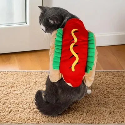 Pet+Costumes