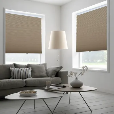 Window+Blinds