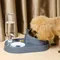 1PC Neue 2-in-1 Katze Schüssel Wasser Dispenser Automatische Wasser Lagerung Haustier Hund Katze Lebensmittel Schüssel Container mit Waterer Pet Waterer Feeder