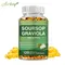 Soursop Graviola - Powerful Antioxidant, Promote Digestion & Cellular Health, Strengthen Immunity -