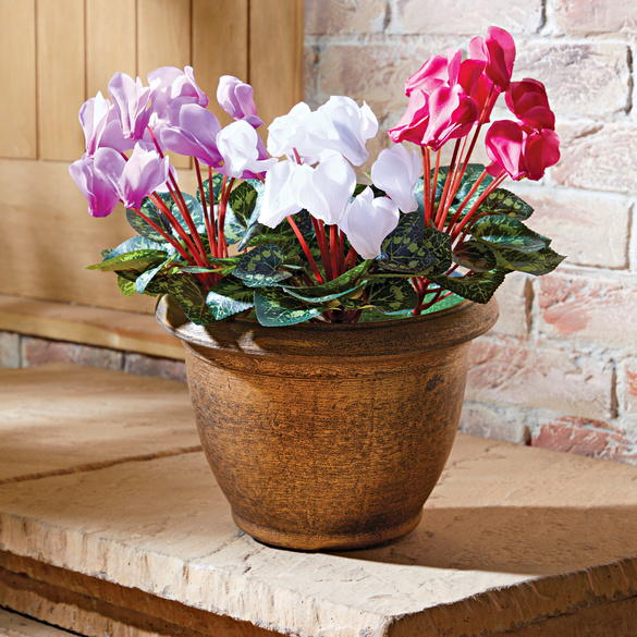 Künstliche Alpenveilchen 3er-Set Gainsborough Image