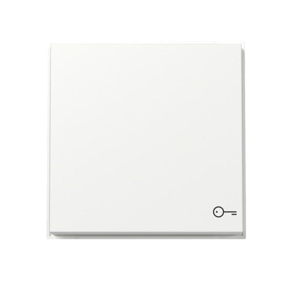 Gira Wippe Symb. Tür 328766 Image