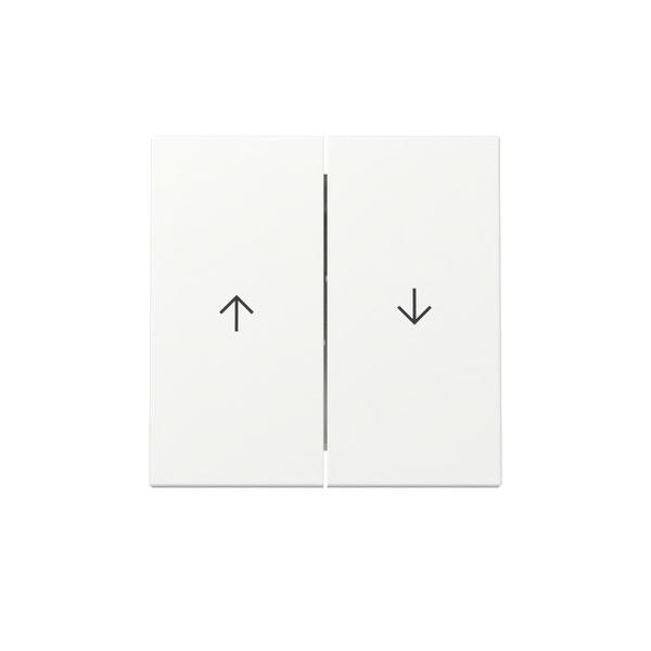 Gira Wippe 2f Pfeil 329427 Image