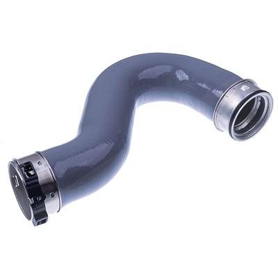 Denckermann Ladeluftschlauch [Hersteller-Nr. F100124] für Mercedes-Benz Image