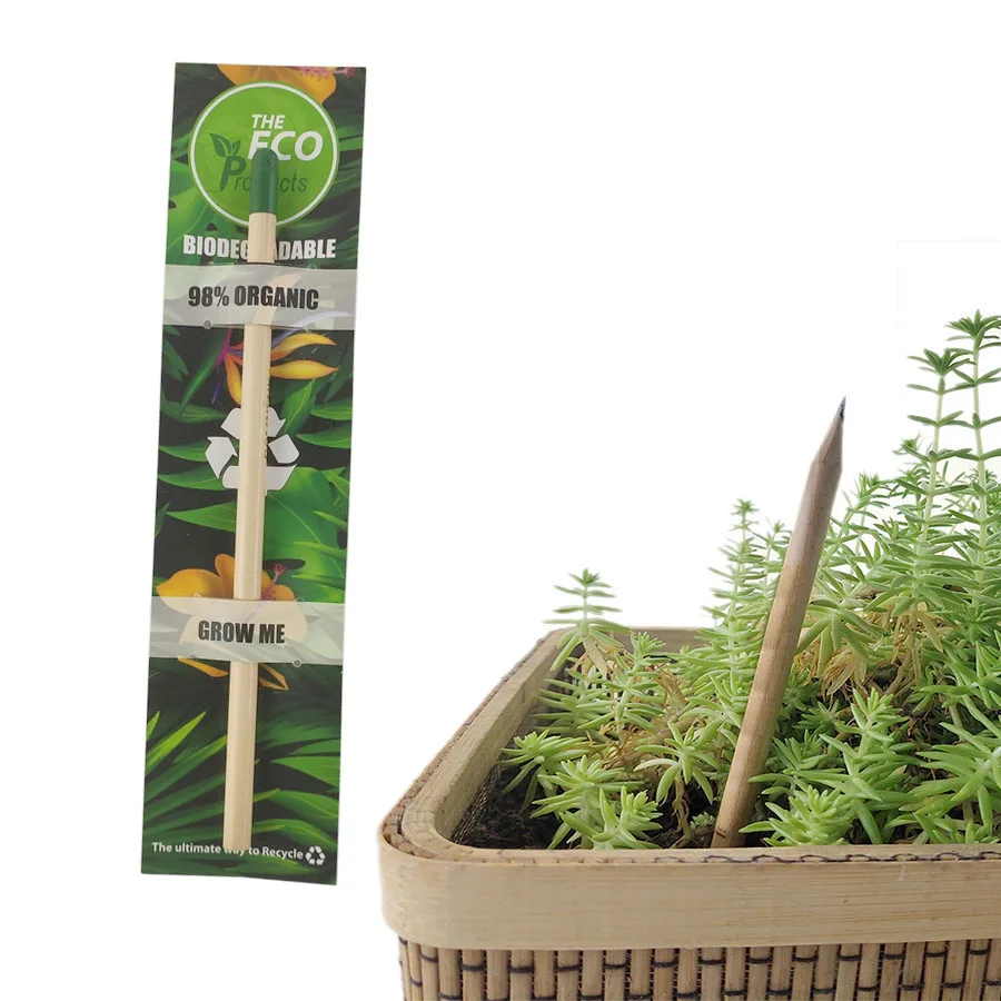 HB ungeschärfte Graphit-Plantable-Holzstifte, Wachsbleistift, Freundliche Bio-Bleistifte | Geschenk für Lehrer, kreative Kinder Image