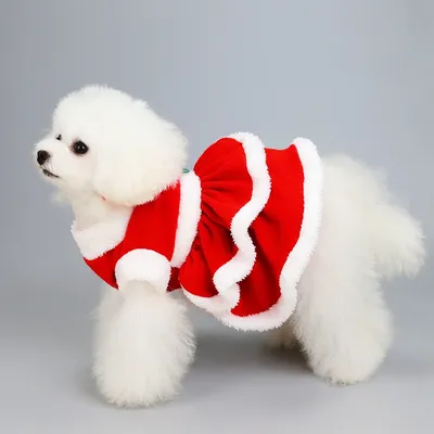 Hund Weihnachts kleid weiche Weihnachts feier niedlichen gekräuselten Rock warme Mode Hunde mäntel Image