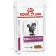 Veterinary Health Nutrition Wet Cat Renal Chicken 12 X85 G
