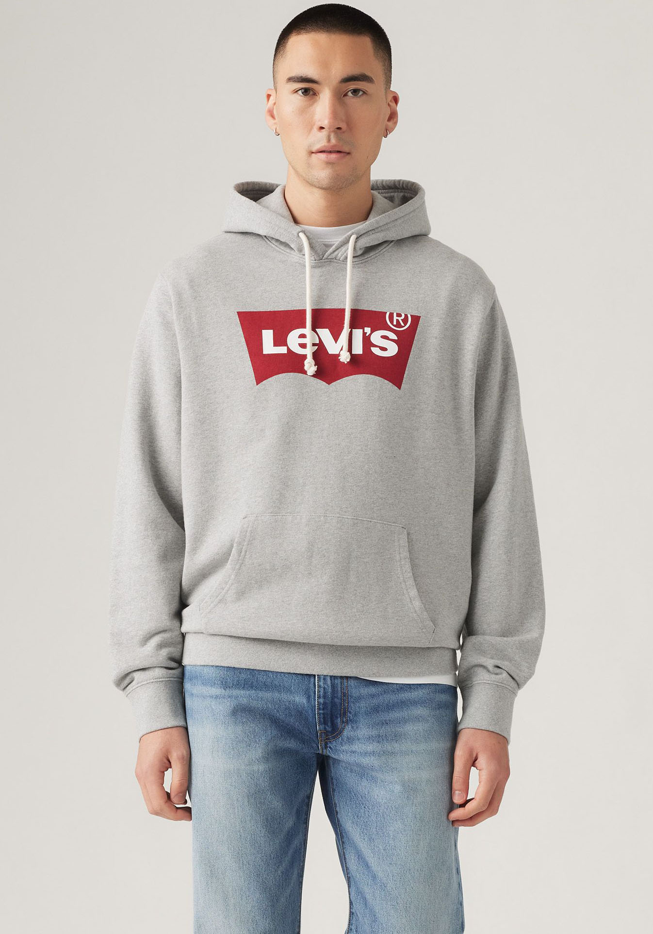 Hoodie LEVI'S "STANDARD GRAPHIC HOOD", Herren, Gr. S, co hm two color hood, Frottee, Obermaterial: 100% Baumwolle, lässig geschnitten hüftbedeckend, eingesetzt Rippbündchen, Sweatshirts, mit Kängurutasche Image