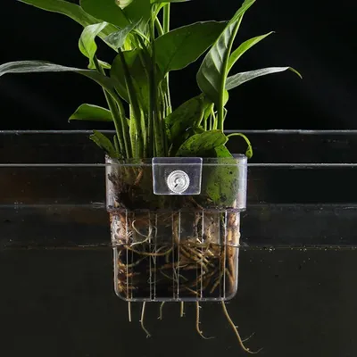 Aquarium Plant Basket Transparent Fish Tank Hanging Decorations Pot Aquatic Plants Holder Aquatic Plant Cup Fish Tank Planter