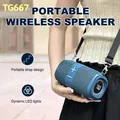 TG667 Altoparlante Bluetooth wireless portatile esterno Doppio altoparlante Subwoofer Bluetooth 5.3 con supporto RGB Scheda FM /TF/disco USB