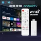 H96 MAX Android TV Stick Allwinner H313 con Wifi 2.4G 5G Wifi6 Doppia marca 8GB 16GB 4K 3D HDR Goole