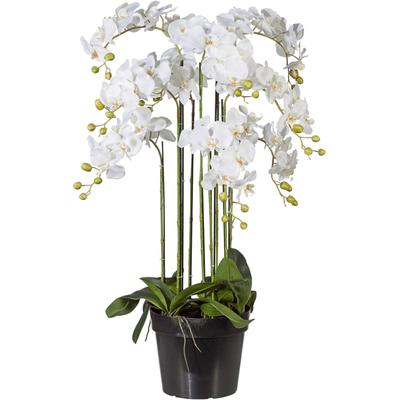 Kunstpflanze CREATIV GREEN, weiß, H:110cm, Polyester, Kunststoff, Kunstpflanzen Image