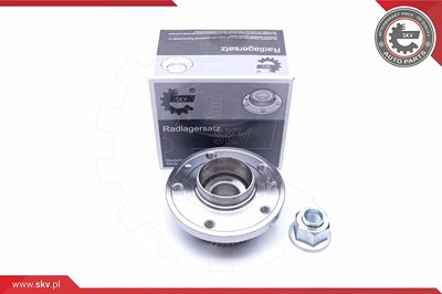 Esen Skv Radlagersatz [Hersteller-Nr. 29SKV198] für Volvo Image