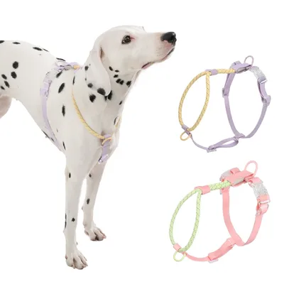Sommer Hunde geschirr Mode Kühlung Hunde weste Spleißen Nylon und Gurtband PVC kein Zug für mittlere Image
