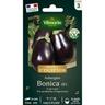 Aubergine Bonica HF1