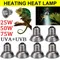 Lampe solaire chauffante et isolante, ampoules lézard au calcium, lampe solaire, lumière UV,