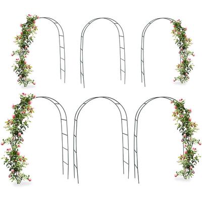 6x Torbogen, Rankhilfe Kletterpflanzen Rosen, Rosenbogen Metall, witterungsbeständig, hbt: 240 x Image