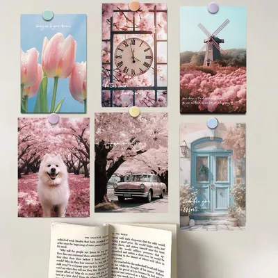 Card image cap
