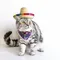 Pet supplies popular straw mini pet dog straw hat pet Mexican hat pet cat sun hat Dogs helemet Happy