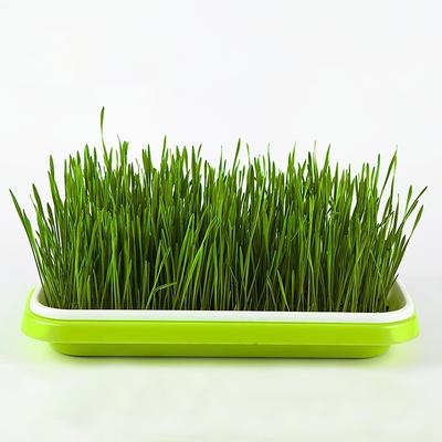 Seed Sprouter Tray, BPA Free PP Soil-Free Big Capacity Healthy Wheatgrass Grower Sprouting Container Kit For Garden Home Office