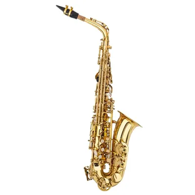 Elegant Alto E Saxophone with Lacquered Gold Finish & Intricate Carved Designs - Perfect for