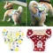 Dog Diaper Clothes Female Dog Physiological Pants Pet Supplies Pet Physiological Pants Dog Menstrual