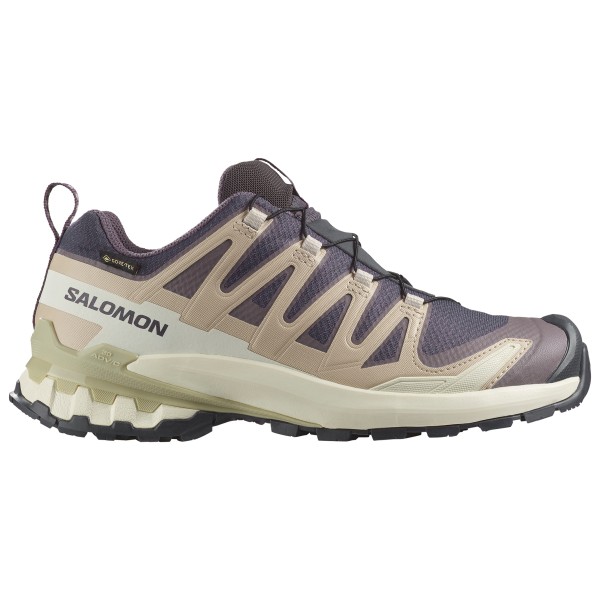 Salomon - Women's XA Pro 3D V9 GTX - Multisportschuhe 42 | EU 42 beige